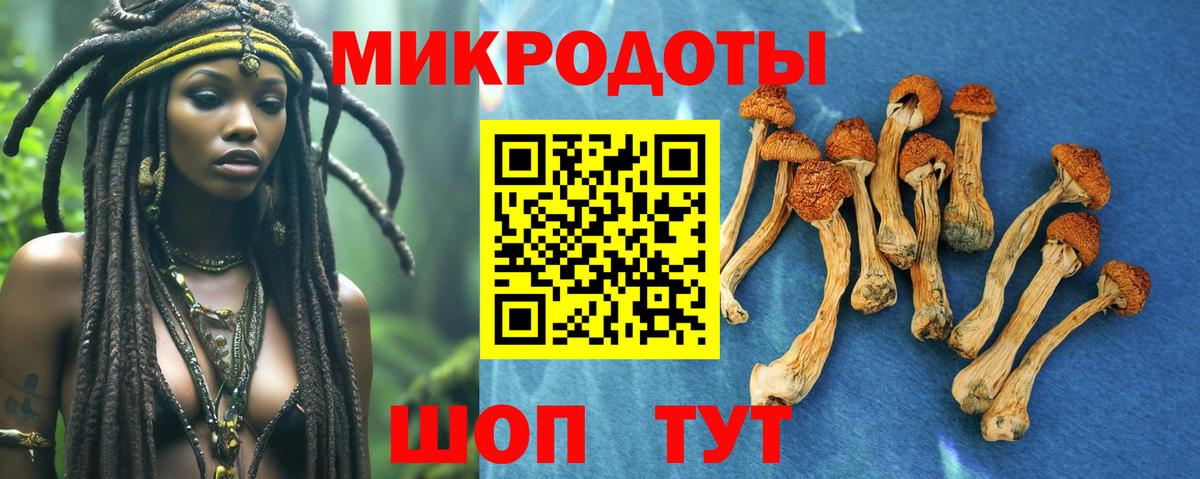 Ногинск  Псилоцибиновые грибы Magic Shrooms  Вход с VPN  Галлюциногенные грибы Magic Shrooms 