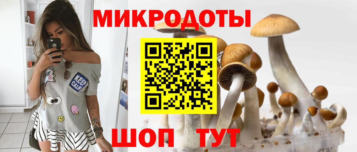 Галлюциногенные грибы MAGIC MUSHROOMS Ногинск